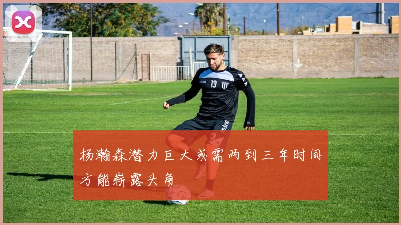 杨瀚森潜力巨大或需两到三年时间方能崭露头角