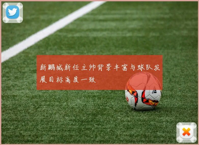 新鹏城新任主帅背景丰富与球队发展目标高度一致